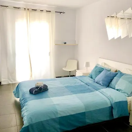 Buho Cristianos Los Cristianos (Tenerife)