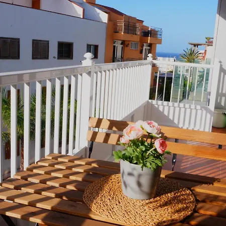 Buho Cristianos Los Cristianos (Tenerife)