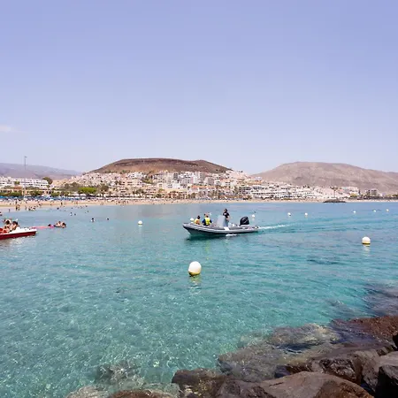 Buho Cristianos * Los Cristianos (Tenerife)