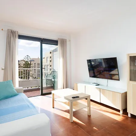 Buho Cristianos Los Cristianos (Tenerife)