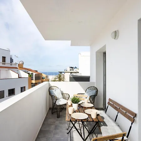 Buho Cristianos Los Cristianos (Tenerife)